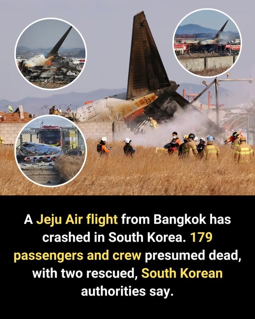 Devastation in Muan: Jeju Air Flight 2216 Crashes on Landing — 179 Presumed Dead, Only Two Survivors Pulled from Wreckage