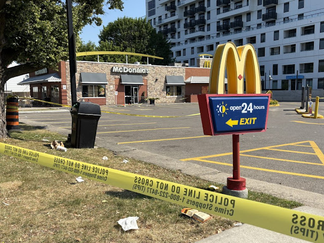 Tragedy at Afrofest 2025: Toronto Teen Fatally Stabbed Near Queen and Coxwell – Police Appeal for Witnesses